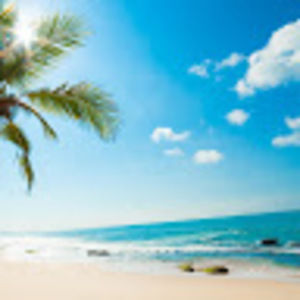 Meet your Posher, Yvette